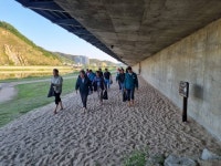 구미시·경산시·영천시·고령군·김천시 [경북소식]