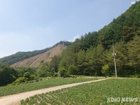 평창군 진부면서 산불 발생…헬기 3대 투입 진화 중