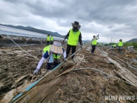 충남세종농협, 금산 깻잎 농가 찾아 수해 복구 지원