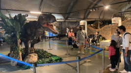 ‘2024경남고성공룡세계엑스포’ 10월2일 개막