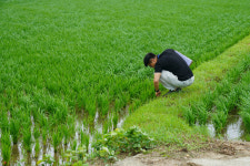 ‘나주시, 대한민국 솔라리그 최우수기관 선정’ 외