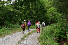 봉화군, ‘2024년 외씨버선길 봉화 함께 걷기’ 행사 개최