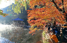 가을의 절정, 정읍 내장산 단풍빛에 물들어