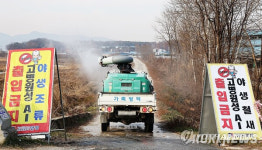 충남 청양서 고병원성 AI 의사환축 발생