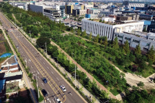 숲 1㏊ 미세먼지 흡수량=경유차 27대 배출양… 도시숲 197곳 확대