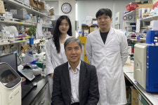 폐암 치료 새 길 열었다… KAIST, 면역항암 막는 핵심인자 발견