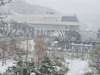 강원도 영서 지역에 내린 봄 눈