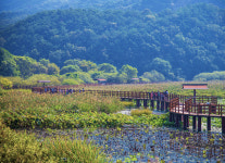 합천 정양늪 습지보호지역 지정 절차 장기보류 결정