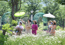 거창한 봄날, 거창창포원에서 휴식과 봄을 만끽하세요!