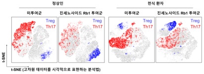 진(GIN)사포닌 | [쿠키과학] '만성 천식' 인삼 사포닌에 해결책 있다