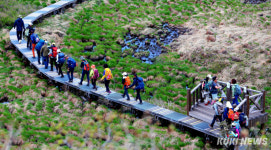 선선한 봄바람 타고 람사르 인제 대암산 용늪 트래킹 어때!