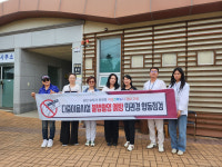 “보랏빛 향연”…고성 개천면 월곡마을 버들마편초 만개