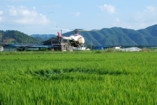 이동률 합천군 농업기술센터 소장 폭염 관리 총력