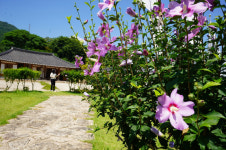 무궁화마을 해남 옥천면의 특별한 광복절 맞이