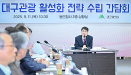 “문화·의료·MICE 융합 관광으로 활로”…대구시, 관광 활성화 논의