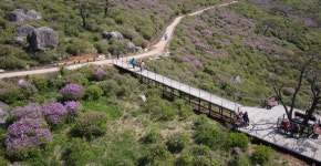 은빛 물결, 가을의 절정을 거닐다…황매산 억새축제 10월18일 개막