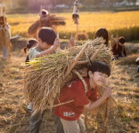 아산 외암마을에 짚풀공예 장인 다 모여라