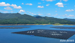 수면 수놓은 거대 태양광 무궁화… 임하댐, 물 저장소에서 ‘청정에너지 발전소’로