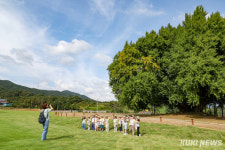 ‘1318살 은행나무’와 조우한 원주 어린이, 그리고 가을하늘 [쿠키뉴스]