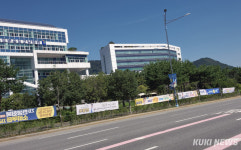 가로수가 무슨 죄?