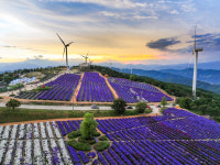 추석 황금연휴, 가을 청취 가득한 힐링 여행지 거창으로