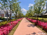 원주 곳곳 폐철도, 친환경 공간·관광 자원 속속 탈바꿈