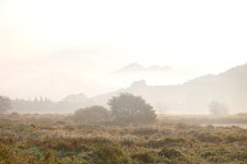 국내 생태전문가들 김해화포천습지에 모여 생태한마당축제와 생태세미나 열었다