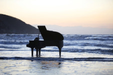 가을 신안, 보라빛 퍼플섬과 바다 위 피아노의 저녁…“오늘, 신안이 다 했네”