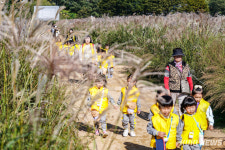 ‘은빛 억새’로 물든 하늘공원…예술이 어우러진 서울억새축제 [쿠키포토]