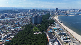 포항 송도 솔밭 도시숲, ‘대한민국 모범 도시숲’ 선정