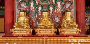 강원특별자치도 지정문화유산 5건 신규 지정