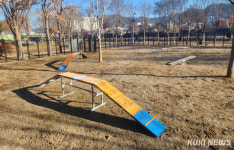 양구군, 레포츠공원 반려견 전용 놀이터 조성 완료