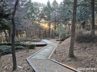 정선 비봉산 산림공원 ‘새 단장’
