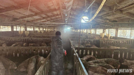 강원특별자치도, 아프리카돼지열병 차단 방역 강화