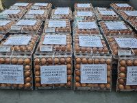 합천, AI 확산 방지 총력…계란 기부로 격려 이어져