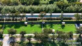 반려견과 밤 산책 가능…동해시, 반려동물 놀이터 다시 문 연다