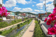 충남도, 중동시장 진출·판로 확대 전략 모색 [힘쎈충남 브리핑]