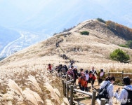 정선 민둥산역·무릉마을 ‘사계절 산악관광 거점’
