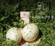 갓 따온 제철 채소· 과일 집 앞까지 신속배달 해드려요!