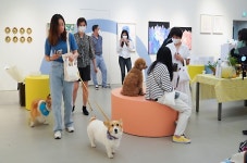 압구정 프린트베이커리, 반려동물과 함께 즐기는 전시 디어 프렌드