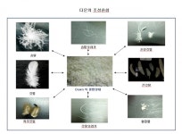발칵 뒤집힌 충전재 시장 파문, 거위털로 속인 오리털 패딩에 대표이사 사과문