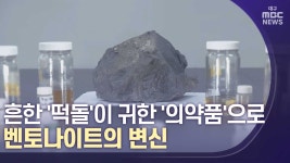 포항에 흔한 떡돌이 귀한 의약품으로