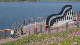 낮 최고 24~30도‥경북 동해안·북부 밤부터 비