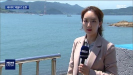 "수중 바지락 싹쓸이"...남획, 합법화 논란