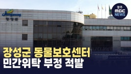 장성군 동물보호센터 민간위탁 부정 적발