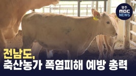 전남도, 축산농가 폭염피해 예방 총력