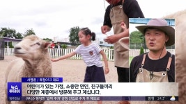 [안동] 농촌에서 힐링..여름휴가 촌캉스 인기