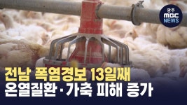 전남 폭염경보 13일째..온열질환·가축 피해 증가