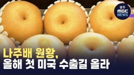 나주배 원황, 올해 첫 미국 수출길 올라