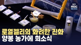 [대전] 로열젤리의 화려한 진화..양봉 농가에 희소식